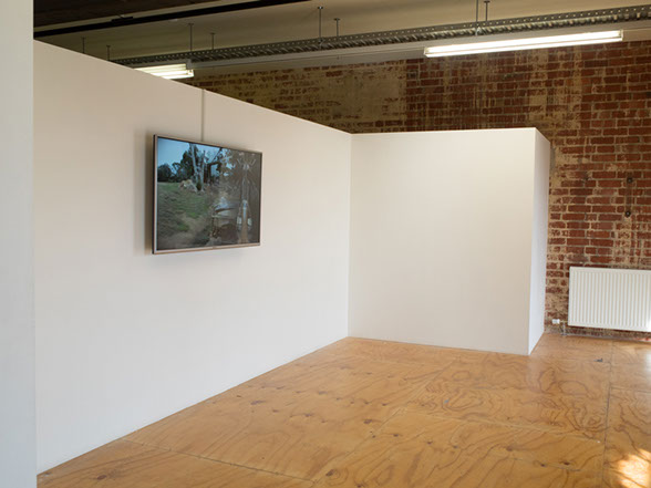 White partition walls of a gallery space, with a flatscreen monitor mounted on the wall appears to show footage from a zoo